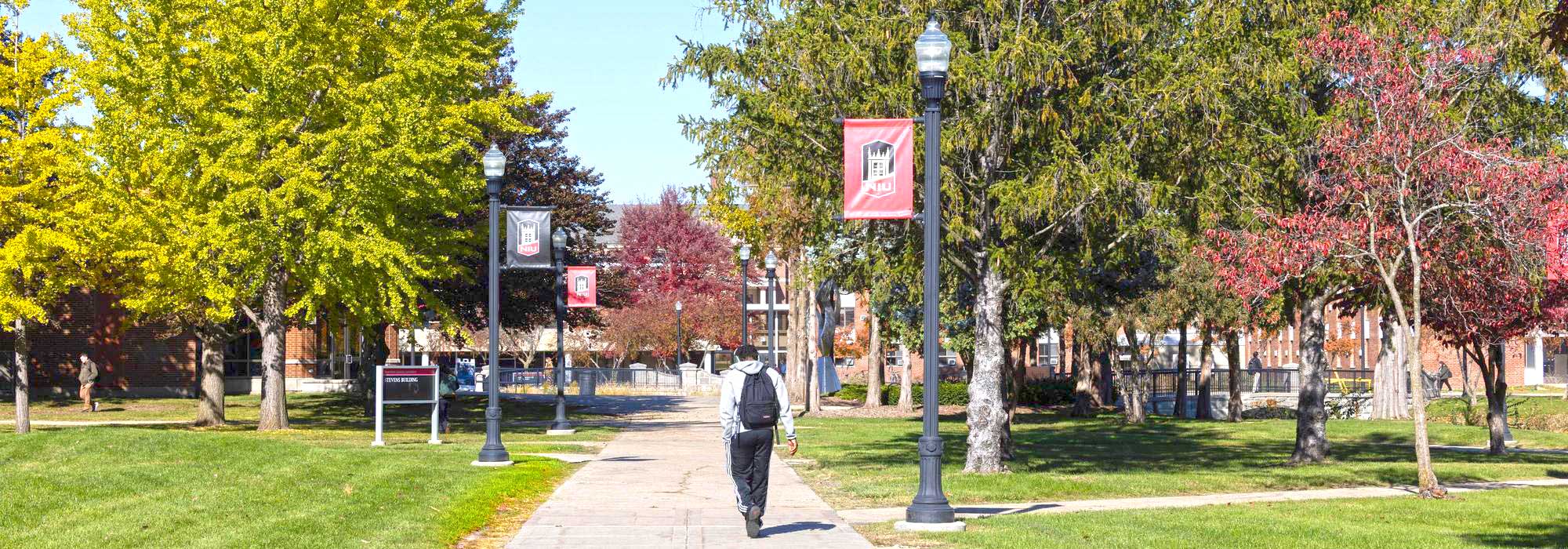 A student walks down a tree lined path on campus.